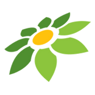 PINTEREST DOWNLOADER IMAGE